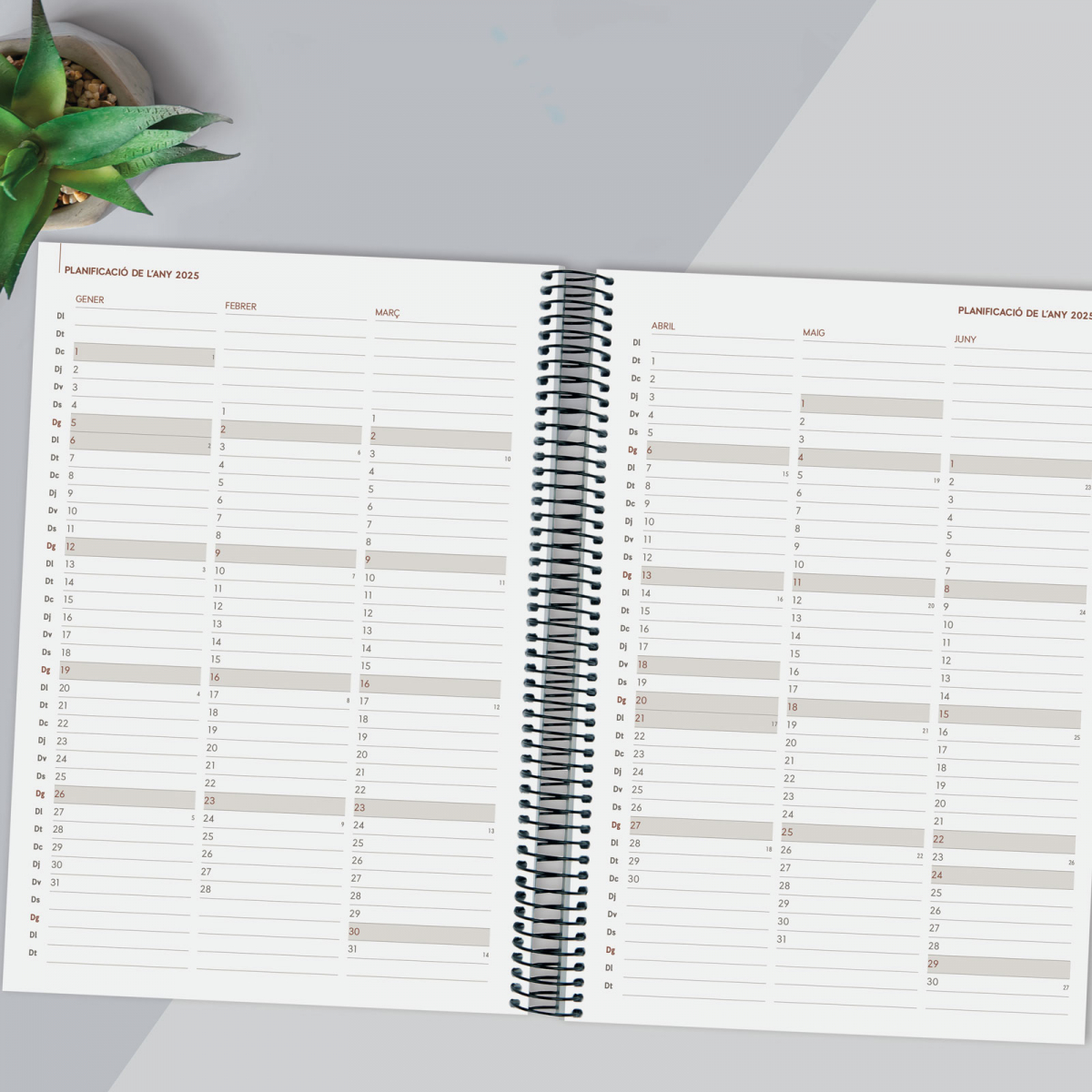 AGENDA FINOCAM ESPIRAL YEAR A4 E40 DIA PAGINA CATALAN NEGRO 2025